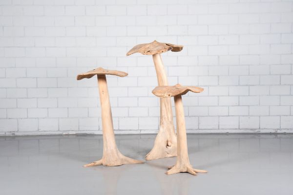 Picture of PADDENSTOELEN SET / 3